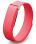 Google Fit Bit