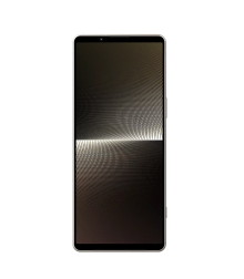 Sony Xperia 1 V XQ-DQ72 12/512 Platinum Silver