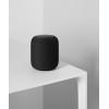 Умная колонка Apple HomePod Black