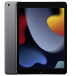 Apple iPad 10,2" (2021) Wi-Fi 256 ГБ, Space Gray  (Cерый космос)