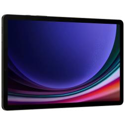 Samsung Galaxy Tab S9, 12GB/256GB, Wi-Fi, серый